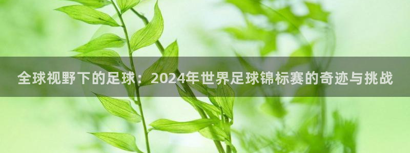 全球视野下的足球：2024年世界足球锦标赛的奇迹与挑战