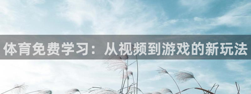 体育免费学习：从视频到游戏的新玩法