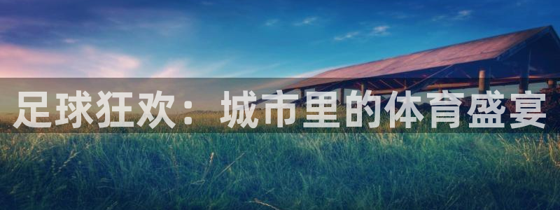 足球狂欢：城市里的体育盛宴