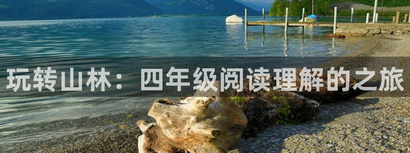 玩转山林：四年级阅读理解的之旅