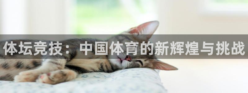 体坛竞技：中国体育的新辉煌与挑战