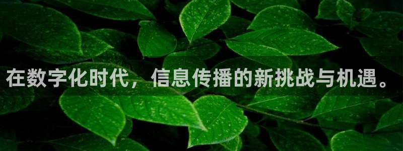 在数字化时代，信息传播的新挑战与机遇。